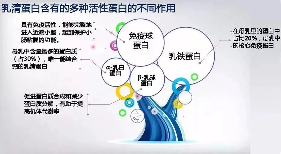 为什么建议宝宝吃乳铁蛋白？？乳铁蛋白不得不知的好处