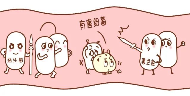 胃癌元凶幽门螺杆菌，，益生菌竟是根除它的好帮手