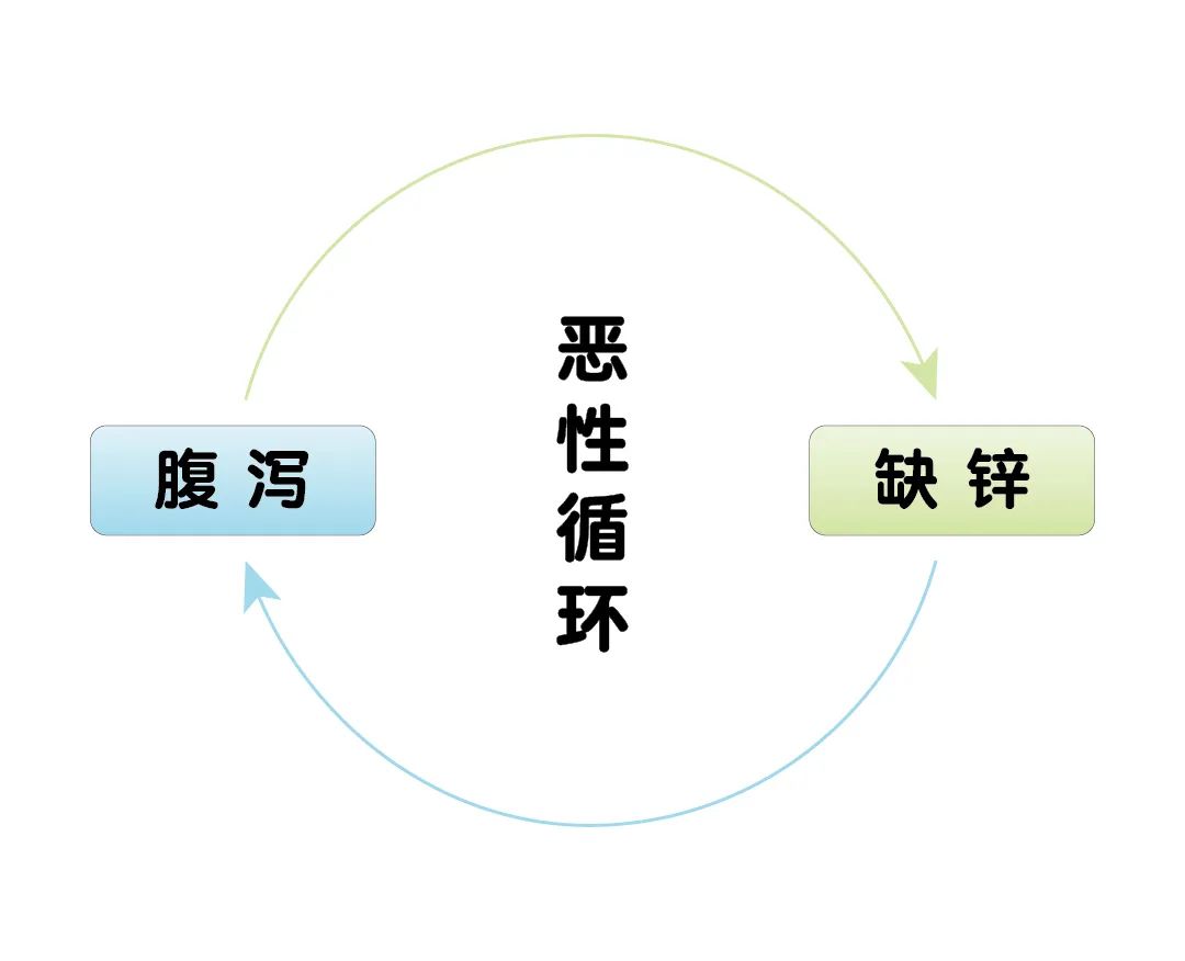 宝宝腹泻期间，，，，为什么要补锌？？